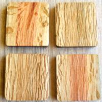 Forest Oak Coasters