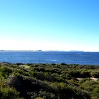 View from the lookout