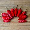 Air Drying Chilli Peppers