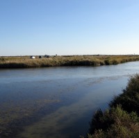 Settling Pond