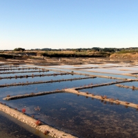 Evaporation Ponds